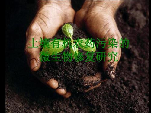 土壤有机农药污染的生物修复 从原理到土壤修复实践