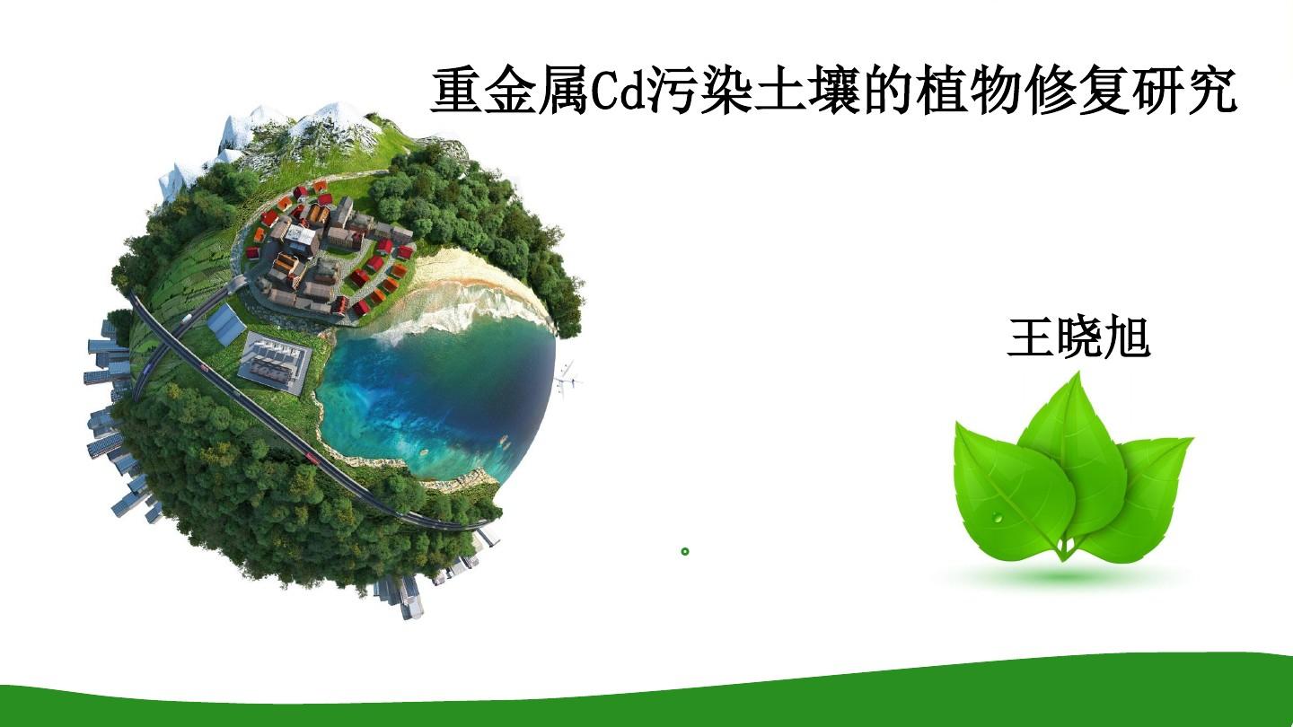 重金属污染土壤植物修复 原理、技术与应用